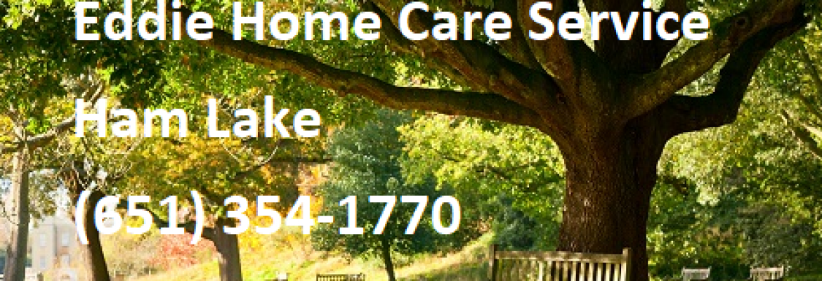 Eddie Home Care Service AFC, Ham Lake