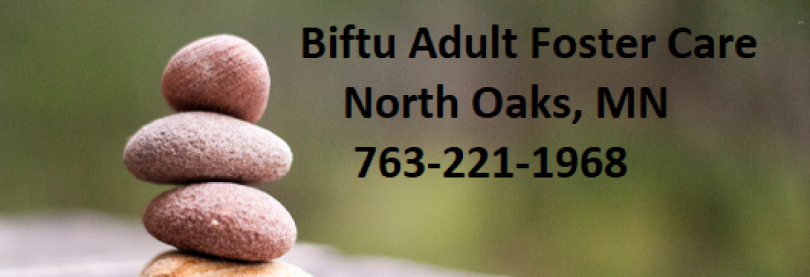 Biftu Adult Foster Care, North Oaks