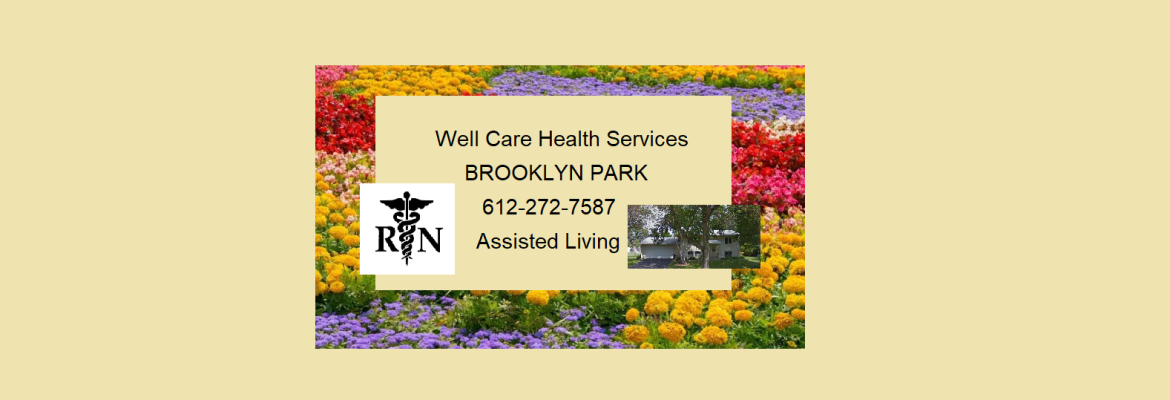 Well Care Health Services LLC, BROOKLYN PARK