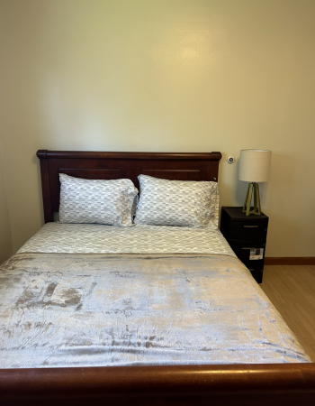 1st ALTERNATIVE CARE LLC, St. Paul