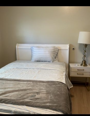 1st ALTERNATIVE CARE LLC, St. Paul