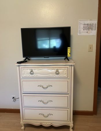 1st ALTERNATIVE CARE LLC, St. Paul