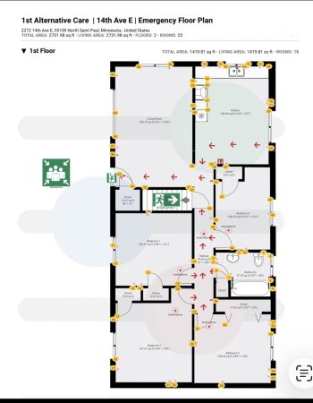 1st ALTERNATIVE CARE LLC, St. Paul