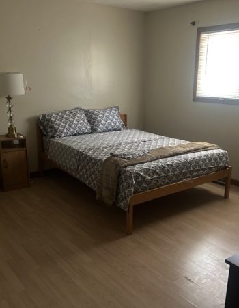 1st ALTERNATIVE CARE LLC, St. Paul