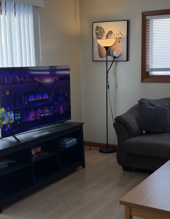 1st ALTERNATIVE CARE LLC, St. Paul